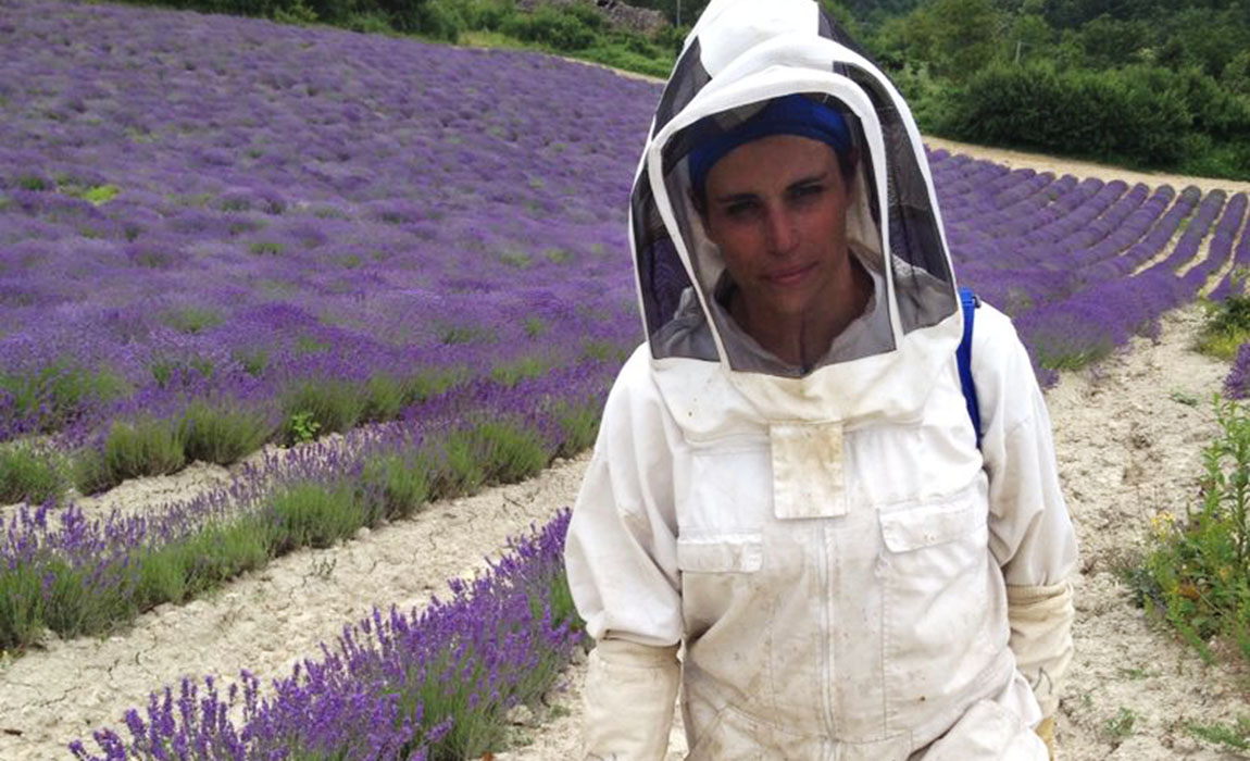 Apicoltura Biologica Seba e Vale: nomadismo in un campo di lavanda